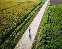 Bike Studio Bologna